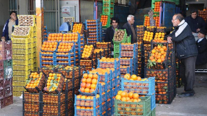تصویر انتقال میدان تره‌بار کرج به ماهدشت ممکن نیست