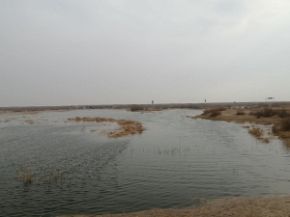 تصویر بازگشت حیات به تالاب صالحیه با آغاز آبگیری زمستانه