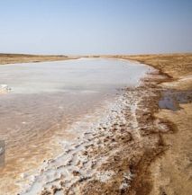 تصویر ورود فاضلاب شهری البرز عامل اصلی آلودگی رودخانه شور ملارد