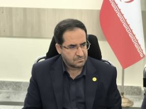 تصویر کاشت ۱.۴ میلیون هکتار جنگل دست‌کاشت در دهه‌های اخیر
