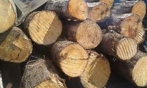 تصویر کشف 50 تن چوب قاچاق در چهارباغ
