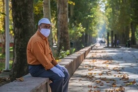 تماشای پاییز در پارکهای کرج تماشای پاییز در پارکهای کرج