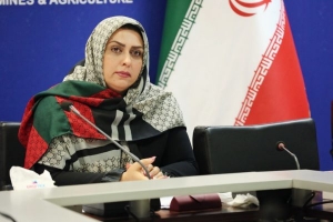 تصویر حضور اقوام ایرانی در جشنواره‌ها و نمایشگاه‌های صنایع‌دستی تقویت شود