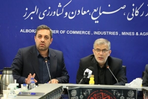 تصویر دولت قبل از ابلاغ بخشنامه‌های جدید، مشورت‌دهی بخش خصوصی را اعمال کند