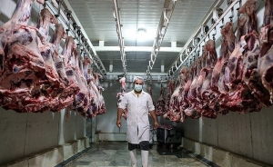تصویر توزیع گوشت گرم قرمز تنظیم بازار در البرز آغاز شد