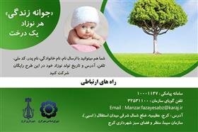 برای نوزادتان درخت بکارید