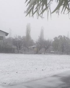 تصویر اولین برف پائیزی شهر طالقان