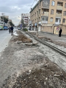 تصویر تقدیر عضو شورای شهر کرج از مدیر منطقه ۴ شهرداری کرج