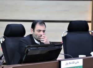 تصویر نگاه سرمایه داری از آرامگاه های خانوادگی برداشته شود