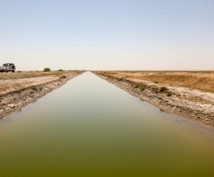 تصویر انتقال بخشی از آب رودخانه کردان به تالاب صالحیه البرز
