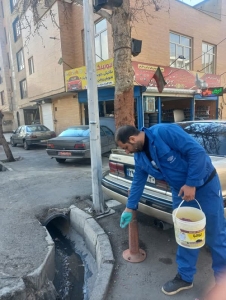 تصویر طعمه گذاری برای امحای حیوانات موذی منطقه 2 کرج