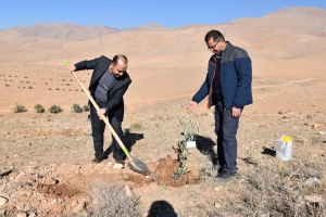 تصویر کاشت 2 میلیون اصله نهال در استان البرز در راستای طرح مردمی کاشت یک میلیارد درخت