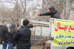 تصویر هدف فقط کاشت درخت نیست ، حفظ و نگهداری در اولویت اول می باشد