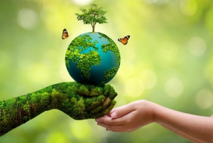 اهمیت حفاظت از محیط‌زیست باید فرهنگ‌سازی شود