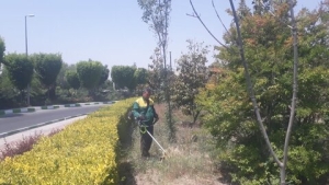 تصویر آغاز عملیات آماده‌سازی و بسترسازی کاشت گل‌های فصلی در سطح منطقه ۹ کرج