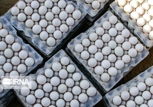 تصویر صادرات ۲ هزار تن تخم مرغ خوراکی از کرج به کشورهای همجوار