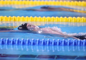تصویر کسب ۲۲ مدال طلای شناگران البرزی در مسابقات ملی و بین‌المللی