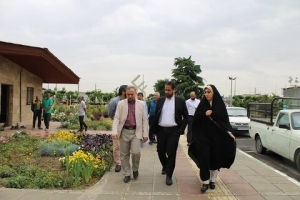تصویر بازدید عضو شورای اسلامی شهر کرج از مناسب سازی معابر و فضاهای شهری منطقه ۲ کرج