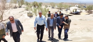 تصویر بازدید مدیرکل دفتر امور بیابان سازمان منابع طبیعی کشور از پروژه های بیابانزدایی استان البرز