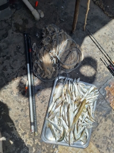 تصویر دستگیری صیاد غیرمجاز ماهی در سد کرج