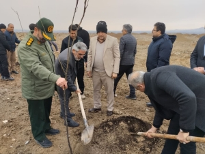 تصویر اراضی تجمیع نخاله محمد شهر به بوستان جنگلی تبدیل شد