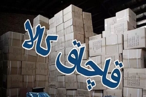 تصویر کاهش ۱۶ درصدی قاچاق کالا و ارز در البرز