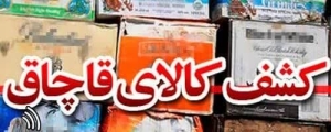 کشف لوازم خانگی خارجی قاچاق در ساوجبلاغ ‏