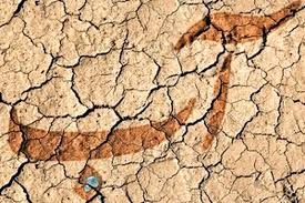 تابستان بدون آب؛ زنگ خطر سبک زندگی نادرست