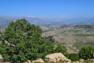 واکاوی یک مصوبه شورای عالی اداری توسط دغدغه مندان منابع طبیعی کشور