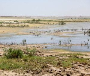 گام بلند دولت در زدودن گرد و غبار