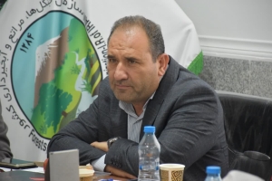 تصویر برای تکمیل عملیات آبخیزداری البرز حدود ۴ هزار میلیارد تومان اعتبار نیاز است