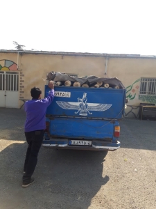 تصویر کشف محموله ۲ تنی قاچاق چوب در کرج