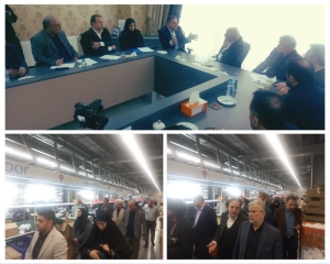 تصویر وزیر تعاون، کار و رفاه اجتماعی از واحد تولید لامپ‌های کم‌مصرف در شهرک صنعتی بهارستان بازدید کرد