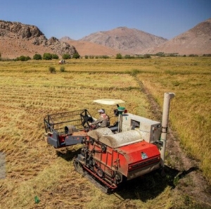 تصویر ضرورت نوآوری در ماشین‌آلات کشاورزی و روش‌های آبیاری