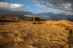 تصویر البرز را باید تبدیل به الگوی سازگار با تغییر اقلیم تبدیل کرد