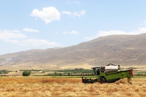 تصویر خرید تضمینی ۱۰۶ هزار تن نهاده دامی و کشاورزی در البرز