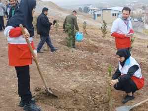 تصویر یکصد اصله نهال به مناسبت گرامیداشت مقام مادر در ساوجبلاغ