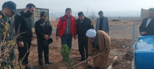 تصویر نهالکاری و توزیع نهال رایگان در شهرستان اشتهارد