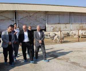 تصویر رسیدگی به مشکلات دامداران و سرمایه گذاران حوزه کشاورزی، اولویت اصلی سازمان جهادکشاورزی البرز