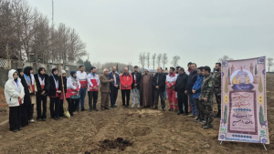 تصویر درختکاری به مناسبت ولادت حضرت علی(ع) و روز پدر با مشارکت جوانان هلال احمر