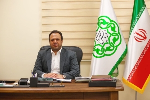 تصویر برگزاری دوره آموزشی تخصصی نحوه تکمیل فرم‌های خلاف ساختمانی در شهرداری فردیس