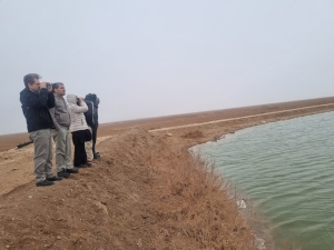 تصویر پرندگان مهاجر آبزی و کنار آبزی  استان البرز در لیست سرشماری نیمه زمستانه