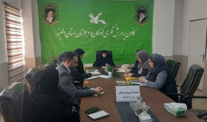 تصویر بررسی ویژه برنامه‌های گرامیداشت «دهه فجر» و «نیمه شعبان»