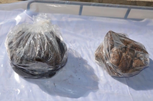 کشف 17 کیلوگرم تریاک در فردیس