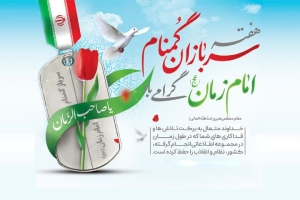 پاسداران بی‌نام آرامش ملی