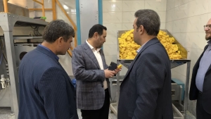 البرز در مسیر سرمایه‌گذاری راهبردی