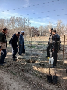 تصویر غرس نهال توسط نماینده مردم کرج در مجلس شورای اسلامی