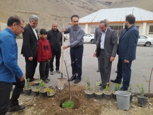 تصویر حضور مدیرکل آموزش و پرورش البرز در پویش درختکاری «ایستاده چون سرو»