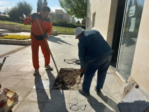 تصویر هشتگرد زیبا می‌شود