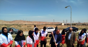 تصویر پویش "ایستاده چون سرو" به یاد شهدای جنگ رمضان در شهرستان کرج برگزار شد